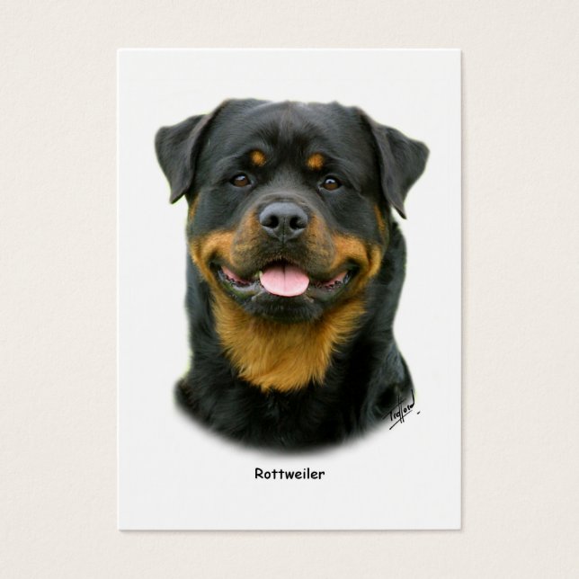 Rottweiler (Devant)