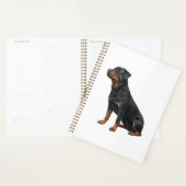 Rottweiler (Devant avec enveloppe)