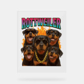 Rottweiler (Recto)