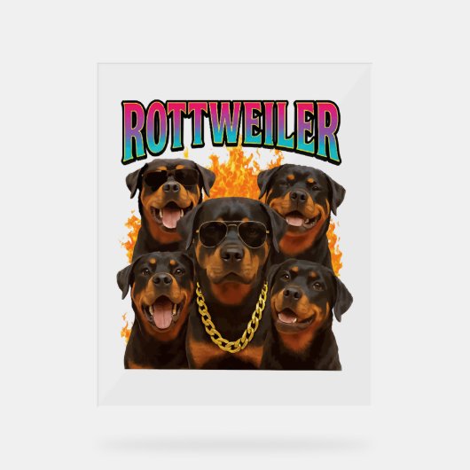 Rottweiler (Recto)