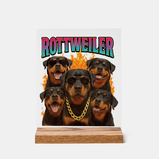 Rottweiler (Recto)