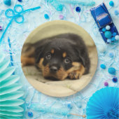 Rottweiler20150901 Papieren Bordje (Feest)