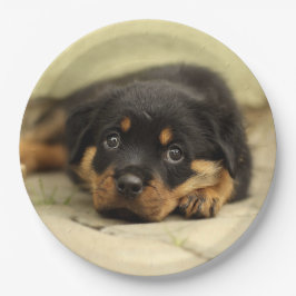 Rottweiler20150901 Papieren Bordje