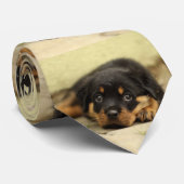 Rottweiler20150901 Stropdas (Opgerold)