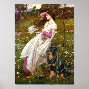 Rottweiler (#5) - Windbloemen Poster