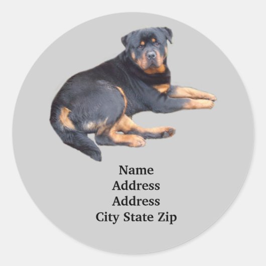 Rottweiler-adreslabel Ronde Sticker (Voorkant)
