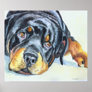 Rottweiler Art Print