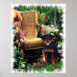 Rottweiler Art Print