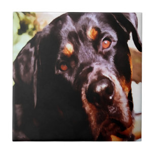 Rottweiler Artistic Pet Portait Tegeltje
