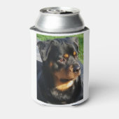 Rottweiler Blikjeskoeler (Blikje Achterkant)