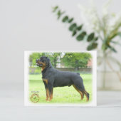 Rottweiler Briefkaart (Staand voorkant)
