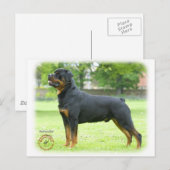 Rottweiler Briefkaart (Voorkant / Achterkant)