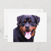 rottweiler briefkaart (Voorkant / Achterkant)