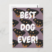 Rottweiler  briefkaart (Voorkant / Achterkant)