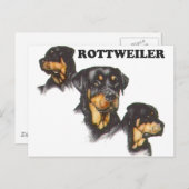 Rottweiler Briefkaart (Voorkant / Achterkant)