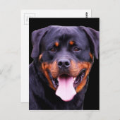 "Rottweiler" Briefkaart (Voorkant / Achterkant)