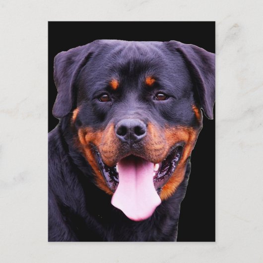 "Rottweiler" Briefkaart (Voorkant)