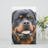 rottweiler briefpapier (Staand voorkant)