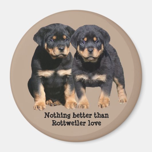 Rottweiler Buddies Magnet Magneet (Voorkant)