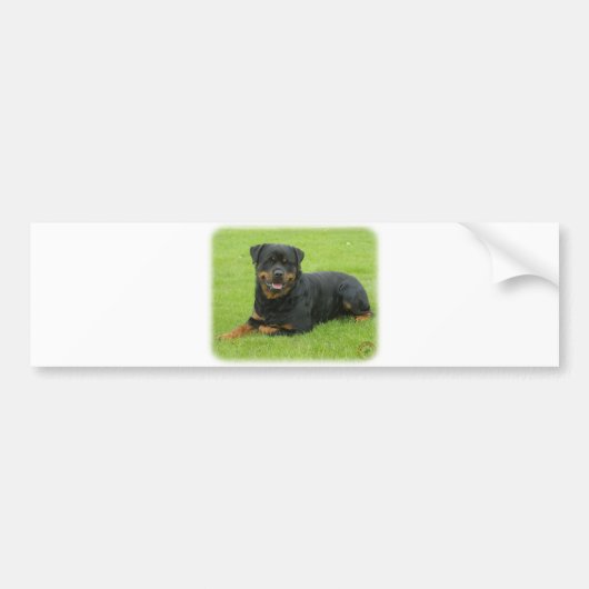 Rottweiler Bumpersticker (Voorkant)