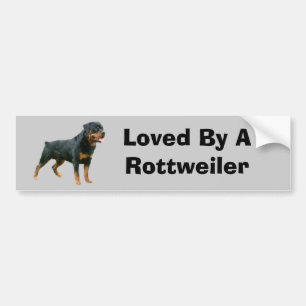 Rottweiler-Bumpersticker Bumpersticker