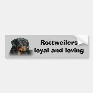Rottweiler-Bumpersticker Bumpersticker