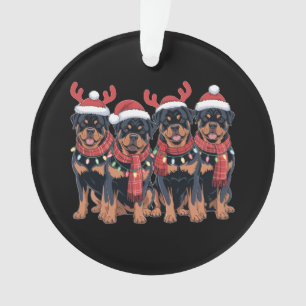 Rottweiler Chien Noël Noël Noël Noël Famille Papa