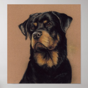 Rottweiler Dog Art Print