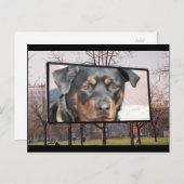 Rottweiler Dog Briefkaart (Voorkant / Achterkant)