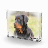 Rottweiler Dog Fotoblokken (Rechts)