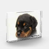 Rottweiler Dog Fotoblokken (Links)