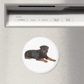 ROTTWEILER DOG FRIDGE MAGNET MAGNEET (Insitu (Vaatwasser))