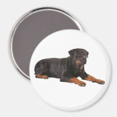 ROTTWEILER DOG FRIDGE MAGNET MAGNEET (Voorkant / Achterkant)