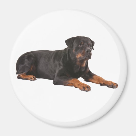 ROTTWEILER DOG FRIDGE MAGNET MAGNEET (Voorkant)