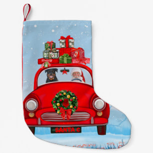 Rottweiler Dog in auto met kerstman Kleine Kerstsok