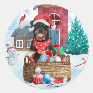 Rottweiler Dog in sneeuwkersthondenhuis Ronde Sticker