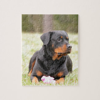 Rottweiler Dog Legpuzzel