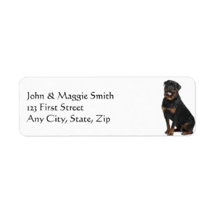 Rottweiler Dog Pet Animal Etiket