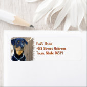 Rottweiler Dog Return Address Label (Insitu)