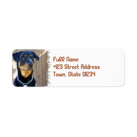 Rottweiler Dog Return Address Label (Voorkant)