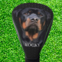 Rottweiler Donkergrijs