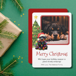 Rottweiler en kerstboomfoto's Pet Dog Eén foto Feestdagenkaart