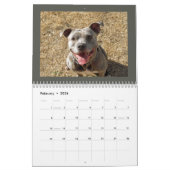 Rottweiler en Pitbull Calendar Kalender (Feb 2026)