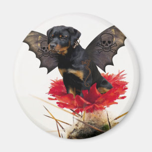 Rottweiler Fairy Dog Magnet Magneet