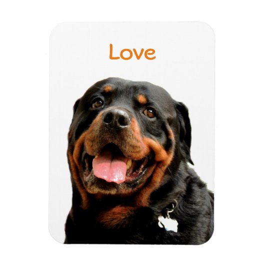 Rottweiler Fotomagneet Magneet (Verticaal)