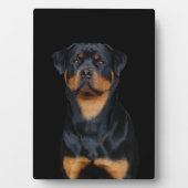 Rottweiler Fotoplaat (voorkant)