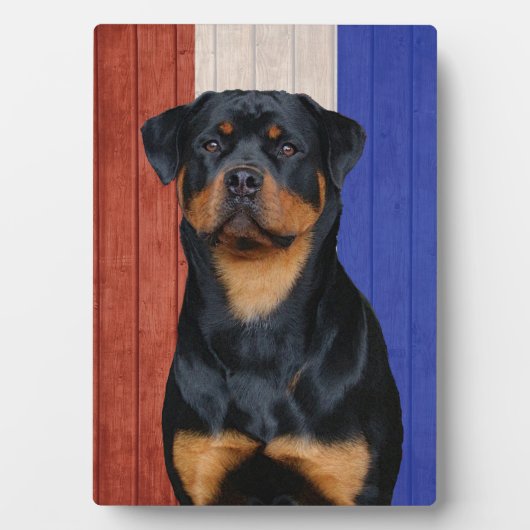 Rottweiler Fotoplaat (voorkant)