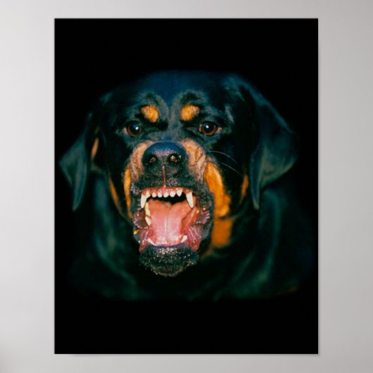 Rottweiler funny poster (Voorkant)