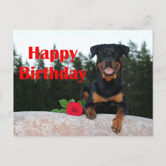 rottweiler gefeliciteerd briefkaart (Voorkant)