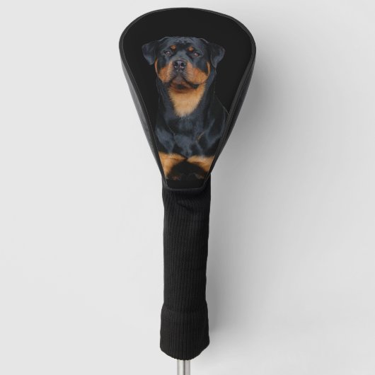 Rottweiler   golfheadcover (Voorkant)